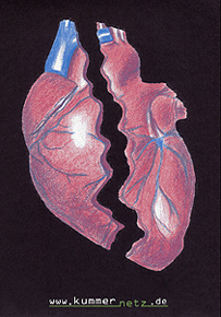 kummernetzplakatriss